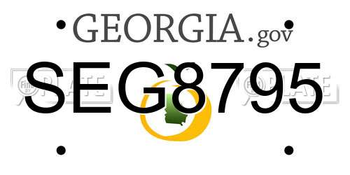 SEG8795 Georgia License Plate