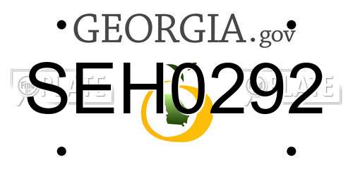 SEH0292 Georgia License Plate