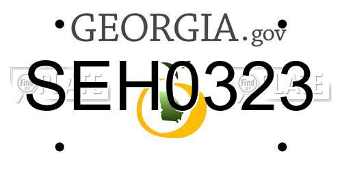 SEH0323 Georgia License Plate
