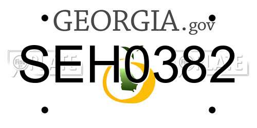 SEH0382 Georgia License Plate