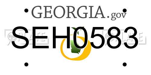 SEH0583 Georgia License Plate