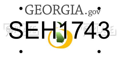 SEH1743 Georgia License Plate