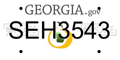 SEH3543 Georgia License Plate