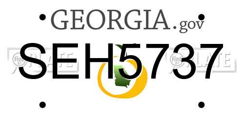SEH5737 Georgia License Plate