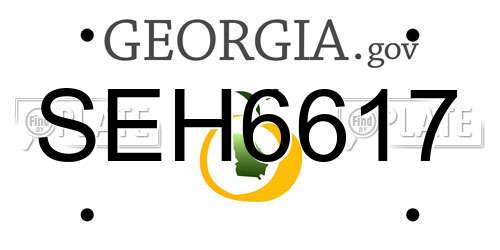 SEH6617 Georgia License Plate
