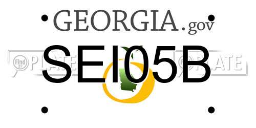 SEI05B Georgia License Plate