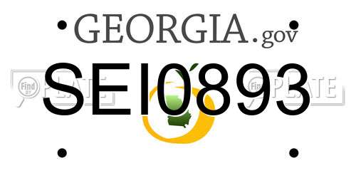 SEI0893 Georgia License Plate