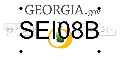 SEI08B Georgia License Plate