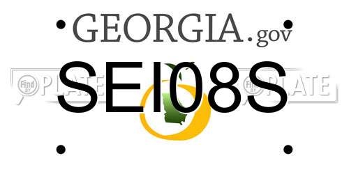 SEI08S Georgia License Plate