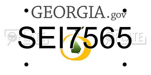 SEI7565 Georgia License Plate