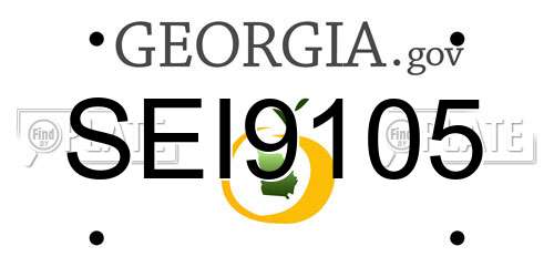 SEI9105 Georgia License Plate