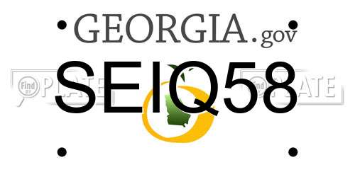 SEIQ58 Georgia License Plate