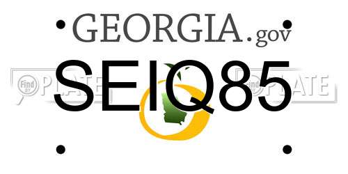 SEIQ85 Georgia License Plate