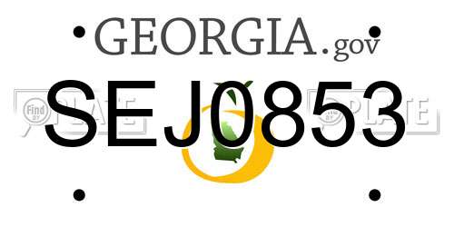 SEJ0853 Georgia License Plate