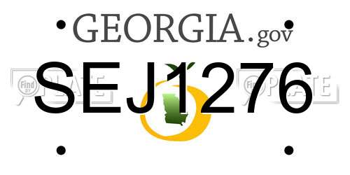 SEJ1276 Georgia License Plate