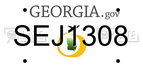 SEJ1308 Georgia License Plate
