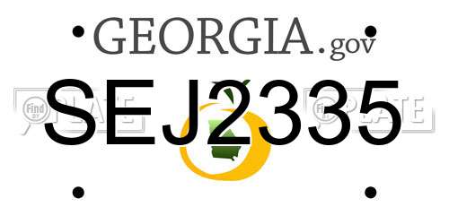 SEJ2335 Georgia License Plate