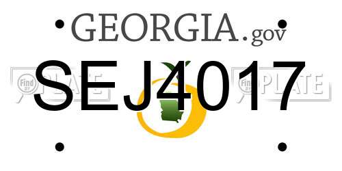 SEJ4017 Georgia License Plate