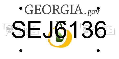 SEJ6136 Georgia License Plate