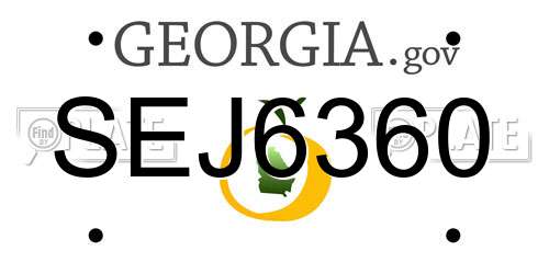 SEJ6360 Georgia License Plate