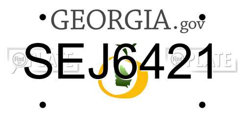 SEJ6421 Georgia License Plate