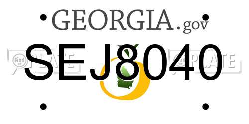SEJ8040 Georgia License Plate