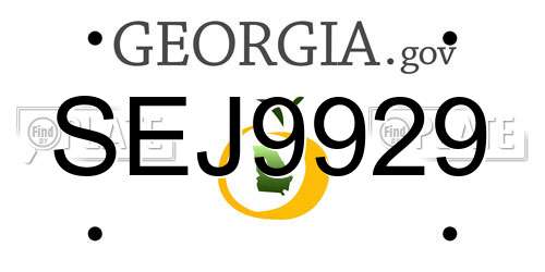SEJ9929 Georgia License Plate