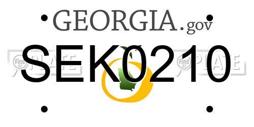SEK0210 Georgia License Plate