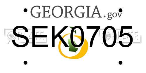 SEK0705 Georgia License Plate