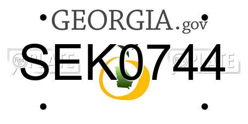 SEK0744 Georgia License Plate