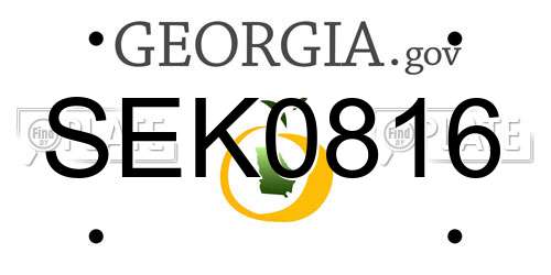 SEK0816 Georgia License Plate