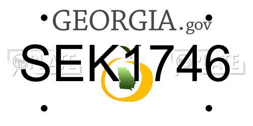 SEK1746 Georgia License Plate