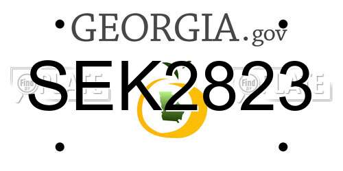 SEK2823 Georgia License Plate