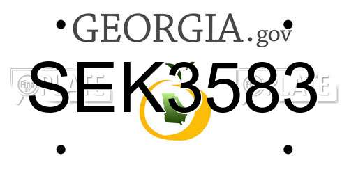 SEK3583 Georgia License Plate