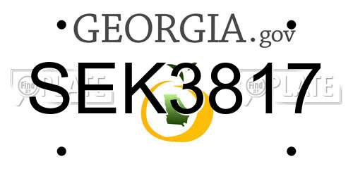 SEK3817 Georgia License Plate