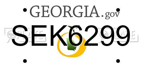 SEK6299 Georgia License Plate
