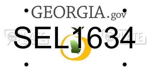 SEL1634 Georgia License Plate