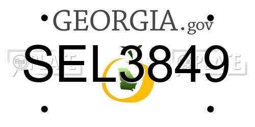SEL3849 Georgia License Plate
