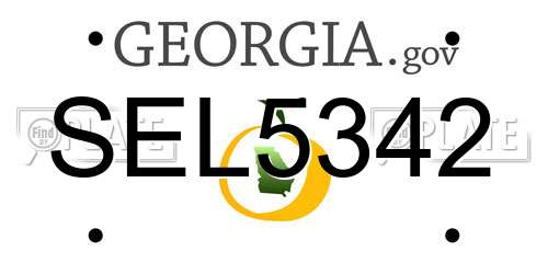 SEL5342 Georgia License Plate