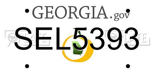 SEL5393 Georgia License Plate