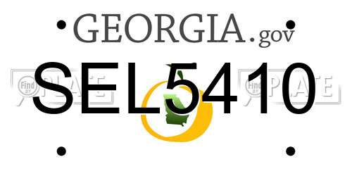 SEL5410 Georgia License Plate