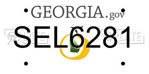 SEL6281 Georgia License Plate