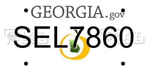 SEL7860 Georgia License Plate