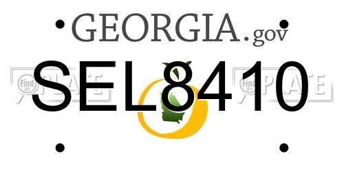 SEL8410 Georgia License Plate