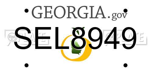 SEL8949 Georgia License Plate