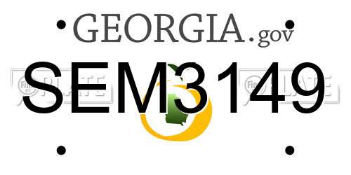 SEM3149 Georgia License Plate