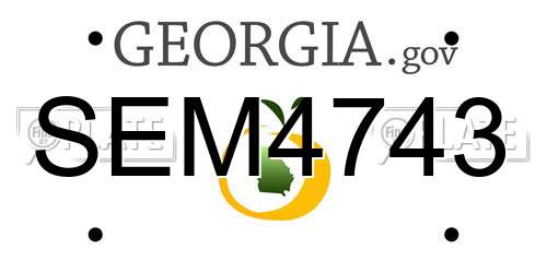 SEM4743 Georgia License Plate