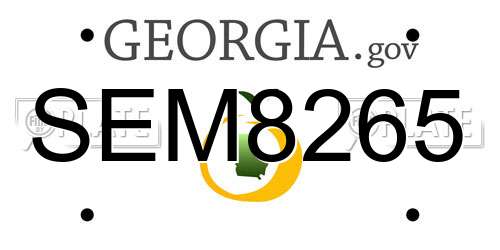 SEM8265 Georgia License Plate