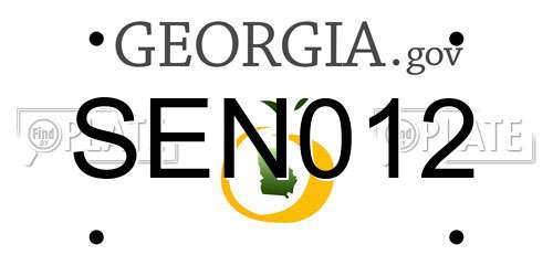 SEN012 Georgia License Plate