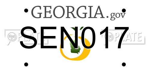 SEN017 Georgia License Plate